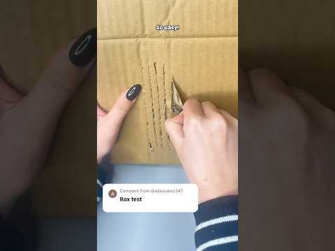 Fan challenge 2:box test! #nails #ellievincynails #pressonnails #nailhacks